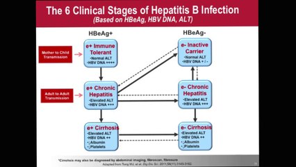 Treatment of Hepatitis B | Myron Tong, MD, PhD | UCLA Digestive Diseases