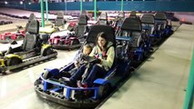 AllToyCollector Disney Frozen Toby Crash in Go Karts Fun Center Bumper Cars Racing Toy Cars