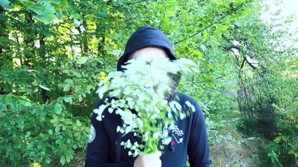 14.09.12 Луцьк, кінотеатр "Промінь" та НК "Севен"/ DZIDZIO