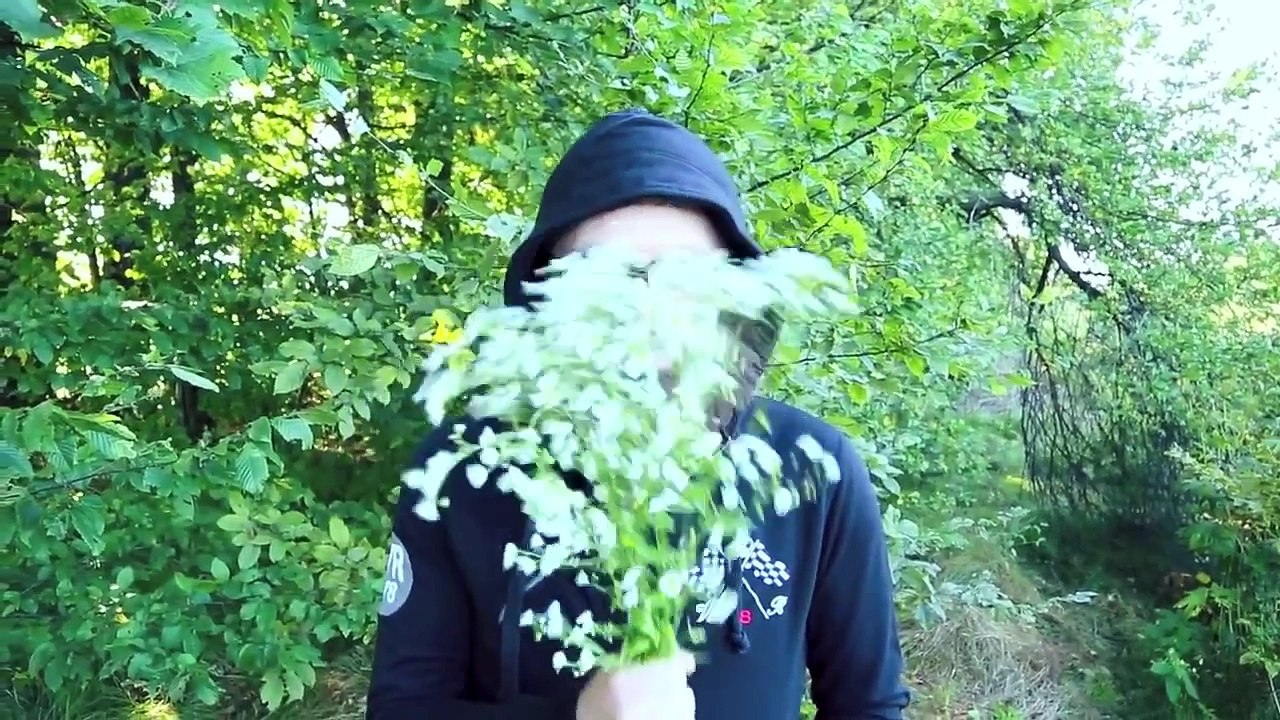 14.09.12 Луцьк, кінотеатр "Промінь" та НК "Севен"/ DZIDZIO