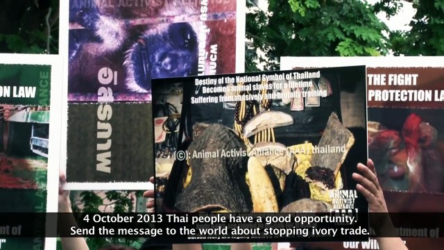 International March For Elephants ,Bangkok Thailand