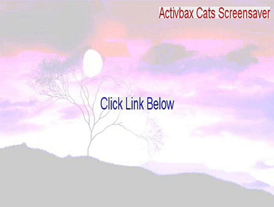 Activbax Cats Screensaver Keygen - Instant Download