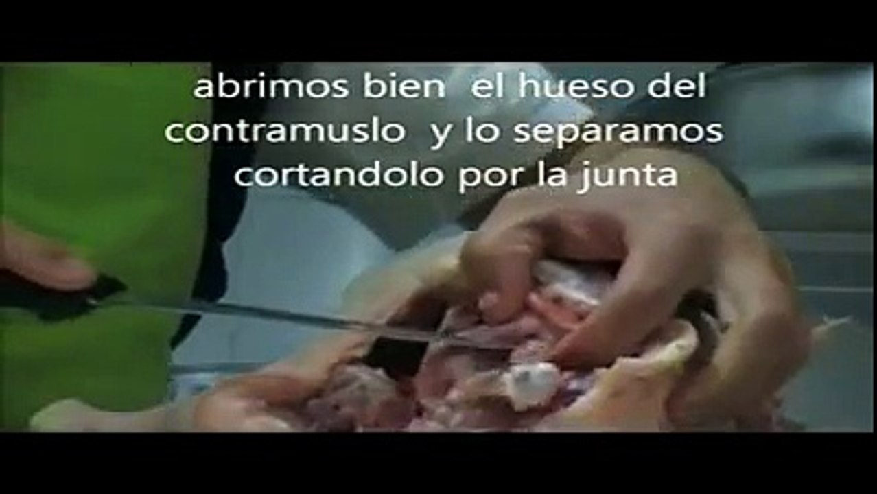 ETC... DESHUESAR UN POLLO SIN ROMPERLO