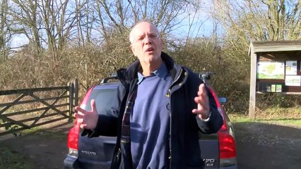 Angry Swan Calls Out Simon for a Rematch! 🦢🔥