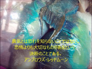 創作活動の励みになる言葉＜アンブロウズ・レッドムーン＞～佐野一行デザイン事務所