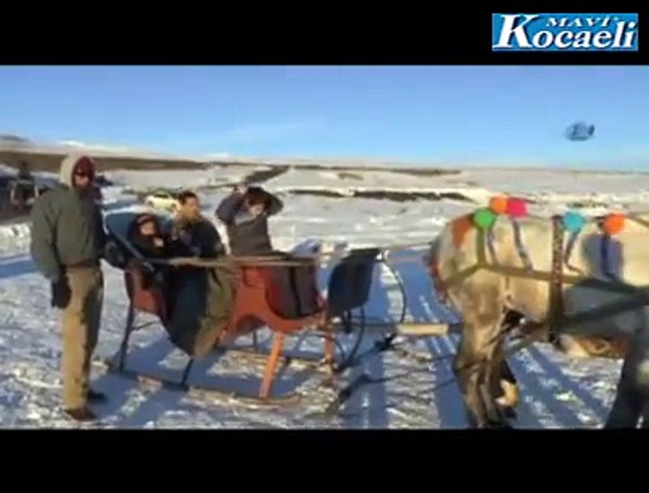 Ice Skating On Horses