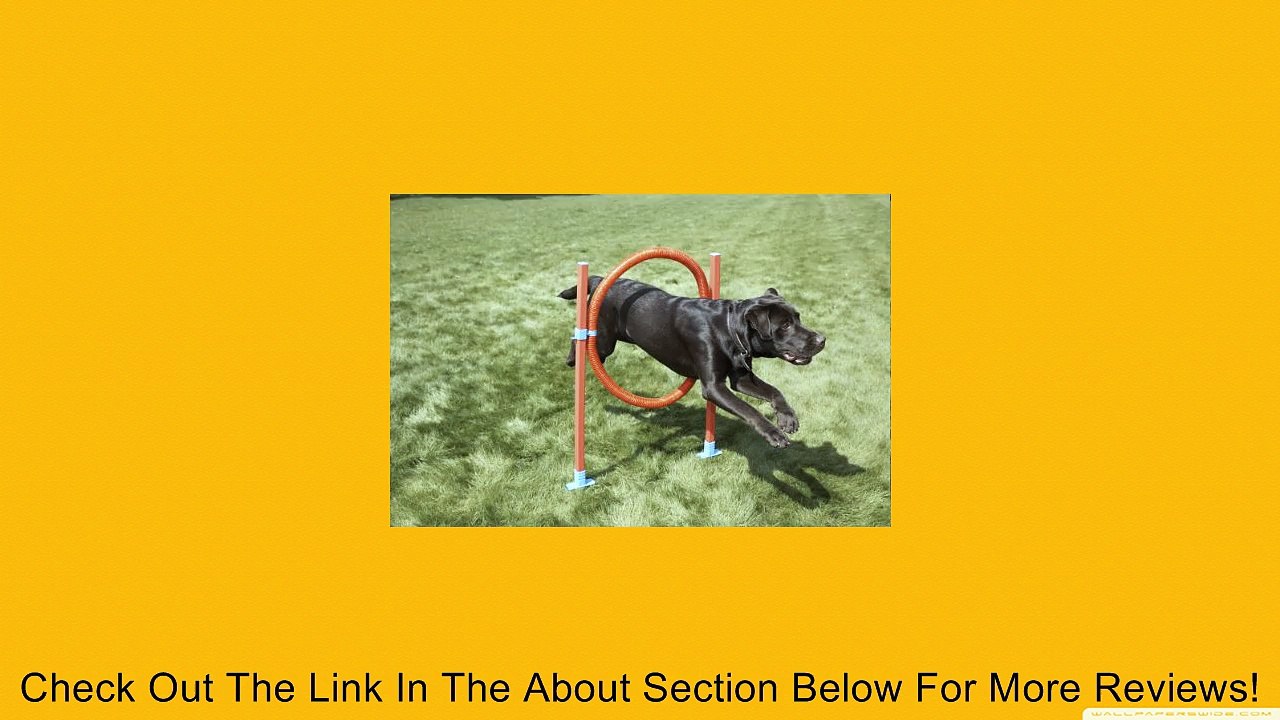 Rosewood Dog Agility Jump Includes Bag Review