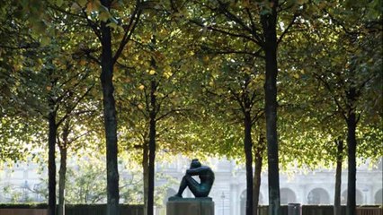 枯葉 ・・クミコ