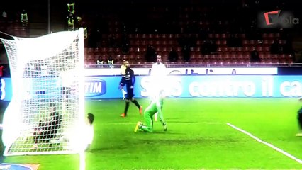 Mauro Icardi   Top Goals & Skills   2014   2015  HD