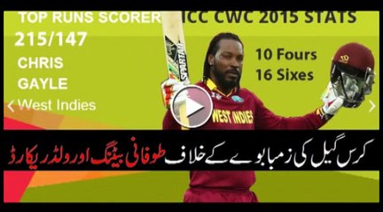 Records of Chris Gayl