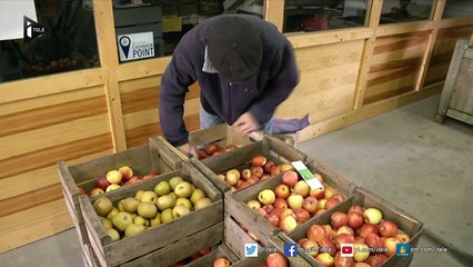 Chômage:plus de 10000 offres dans l'agroalimentaire non pourvues