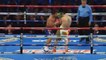 Best Boxing Knockouts 2013 - Highlights (HD)