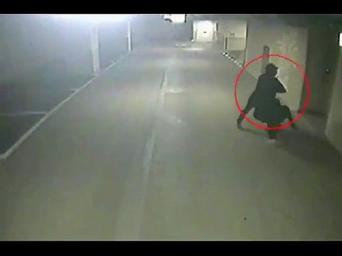 Just Incredible Video _#8211; You Have Not Seen Anything Like This Before!