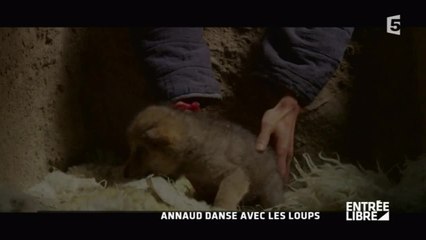 Annaud danse avec les loups