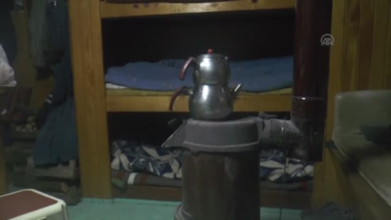 Avrupa'ya "Cik Cik" İhracatı