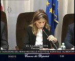 Roma - Lavoratori immigrati, audizione Ministro Martina (24.02.15)