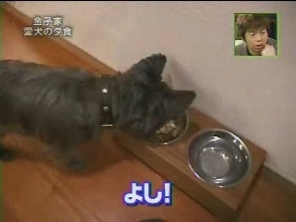 GO!GO!サタ 01(3/10)