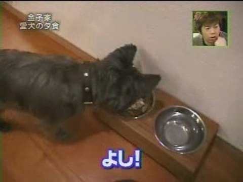 GO!GO!サタ 01(3/10)