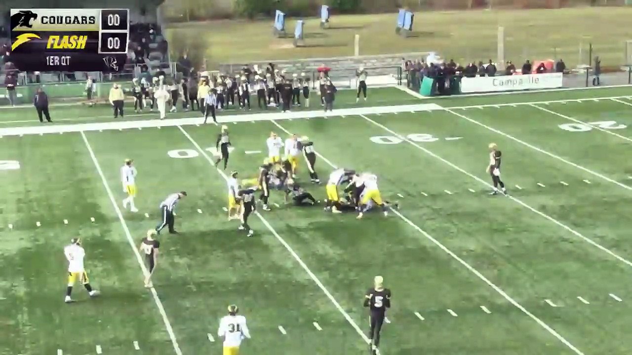 Flash vs Cougar 2015 1er QT