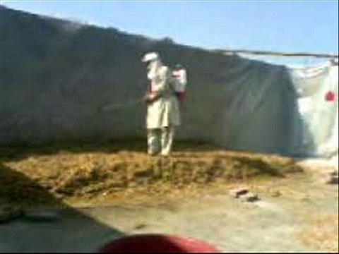 TOORHI (STRAW) MEIN UREA MILANAY KA TAREEQA DR.ASHRAF SAHIBZADA
