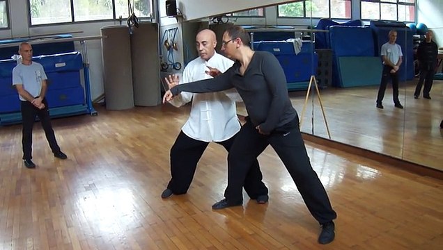 CORSI DI TAIJI QUAN A ROMA: SCUOTERE E DESTABILIZZARE L'AVVERSARIO - M° FLAVIO DANIELE