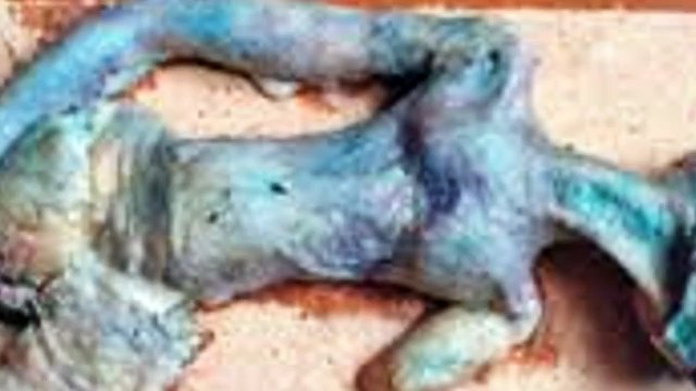 Real ALIEN footage (alien evidence caught on tape from Reuters, Wikileaks, MI6 and more.) (HD)