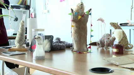 Quand les dépouilles d'animaux font le bonheur d'artistes