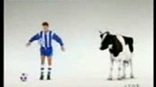 cow_milk