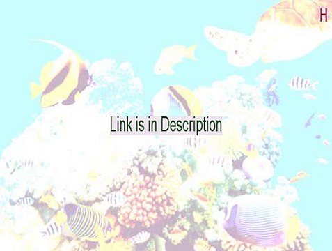 H+H Virtual CD SCSI Controller SDK Key Gen [hobby lobby]