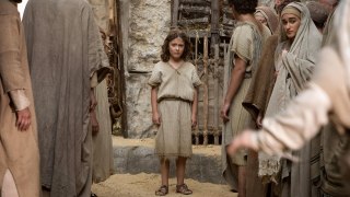 PLAY ► The Young Messiah Full Movie