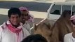 Un chameau rigole avec des arabes à l'arrière d'un 4x4!