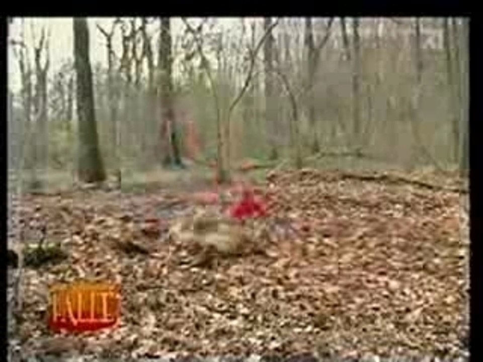 Caméra cachée dans la foret