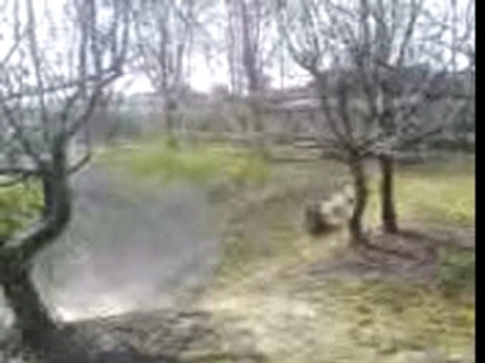saut piaggo