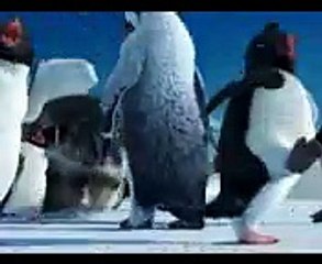 Punjabi Penguins..............very Funny...........!!!!!!!!!!!