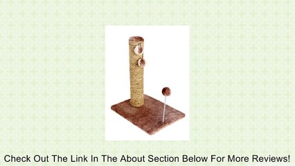 ABC Pet Sea Grass Scratcher with Spring Toy, 20-Inch Review