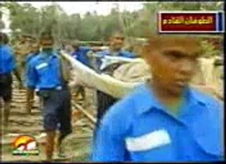 CUTT SUNAMI watch fast- comedy and funny videos 2015