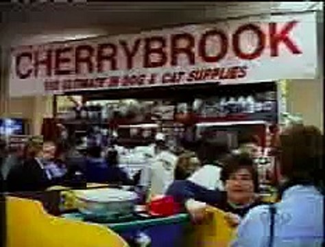 Triumph the insult comic dog