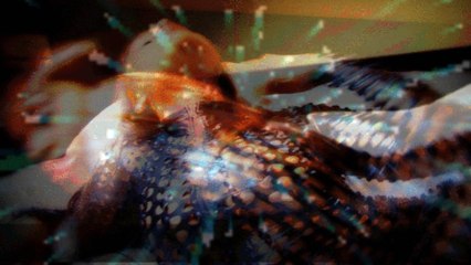 CODE : THE BLACK CHAMELEON (COMIC, BD/MOVIES) 1 ER EPSODE THE TRANSFORMATON