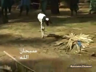 SUBHAN ALLAH MUST WATCH