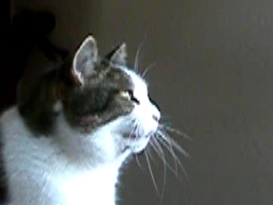 Mimi parle aux petits oiseaux