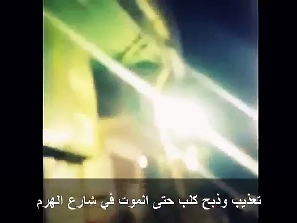 فيديو ذبح وتعذيب كلب شارع الهرم