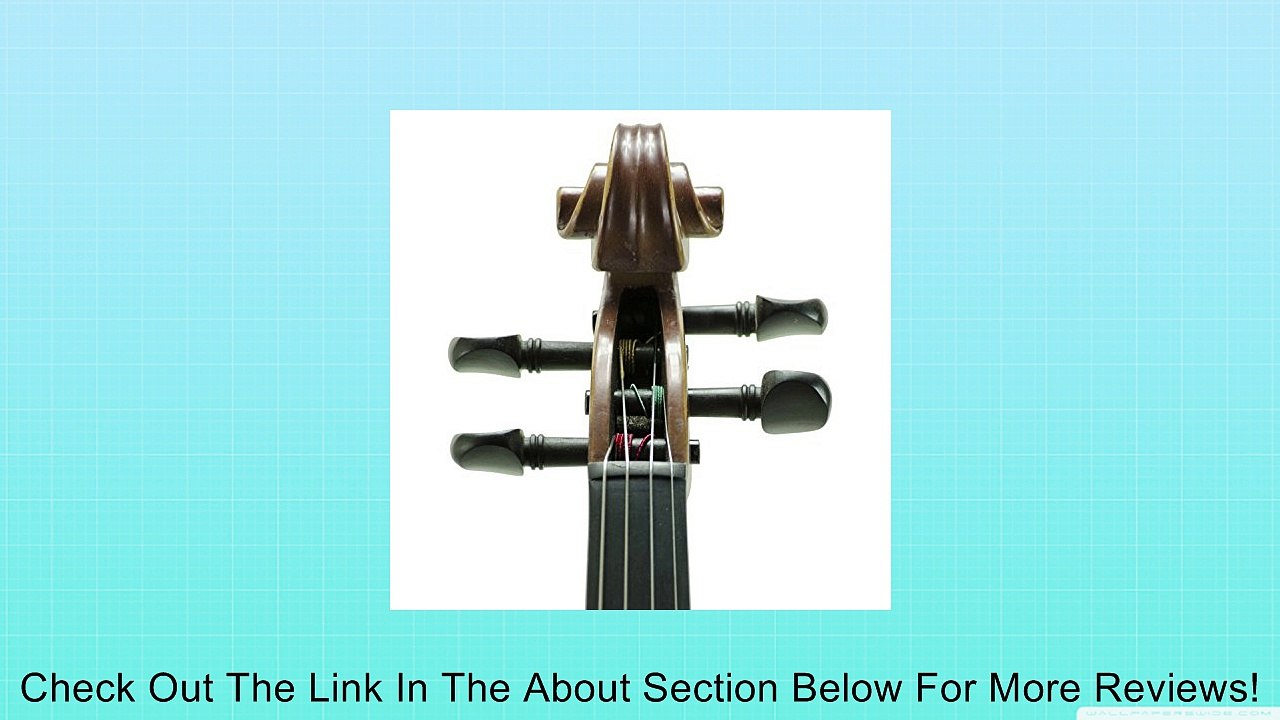 Ricard Bunnel G2 Violin Outfit 1/8 Size Review