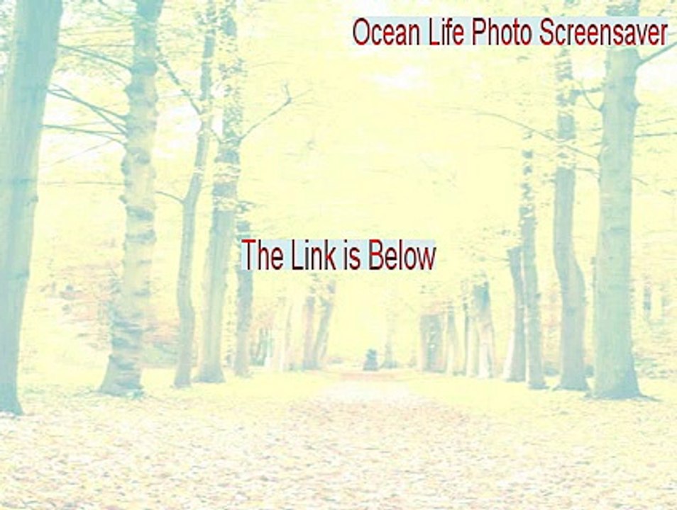 Ocean Life Photo Screensaver Free Download (Legit Download 2015)