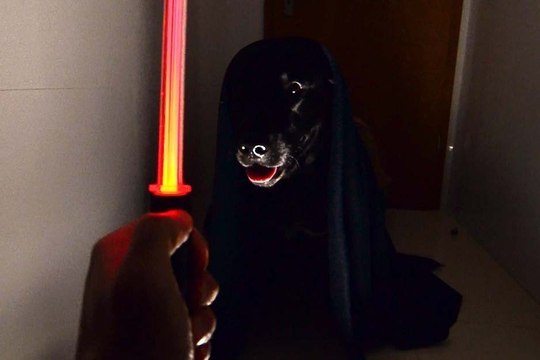 Star Wars Fan Creates the Story of Dog Vader