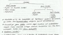 İLH2007 01.Ünite ErolBalcı - KELAMA GİRİŞ Ders Özeti Tarif, İsim ve Kapsam
