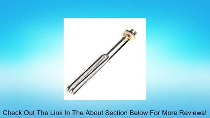 Electrical Element Booster For Water Heater DN25 2000W Stainless Steel Copper Review