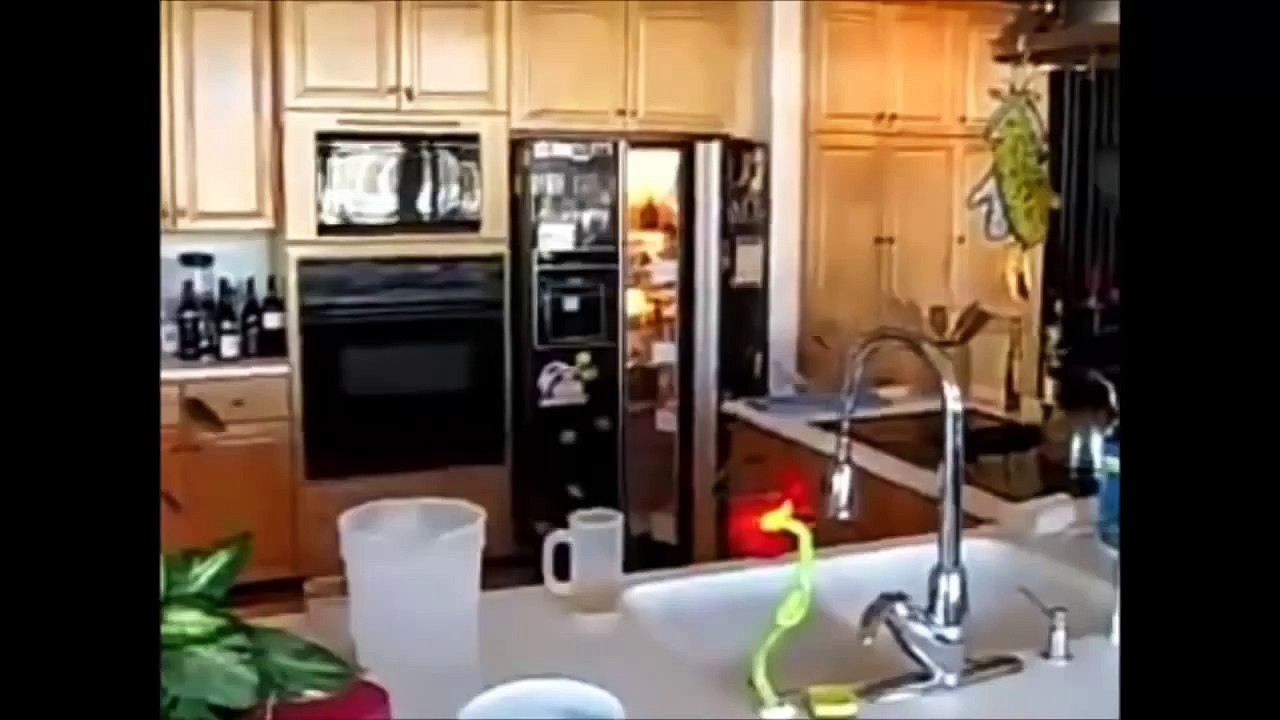 Top 11 Most Viewed Funny Videos On May 2015 Must watch