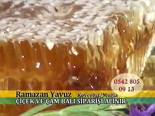 206 İzmir Tarım Fuarı (Arıcılık) 2015