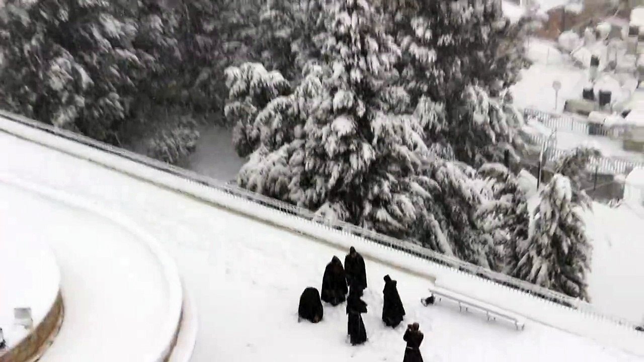 Des moines font une bataille de boules de neige