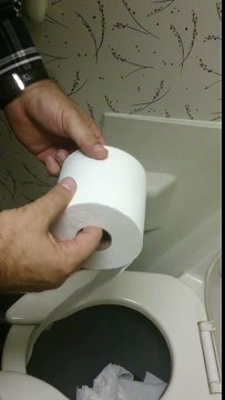 Comment dérouler du papier toilette rapidement